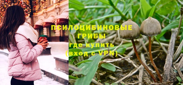 трава Абаза